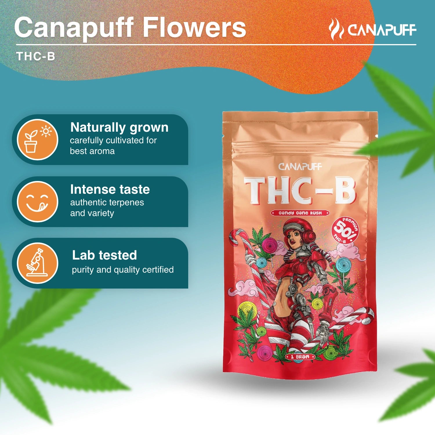 Candy Cane Kush 50% - THC-B Flowers - Canapuff