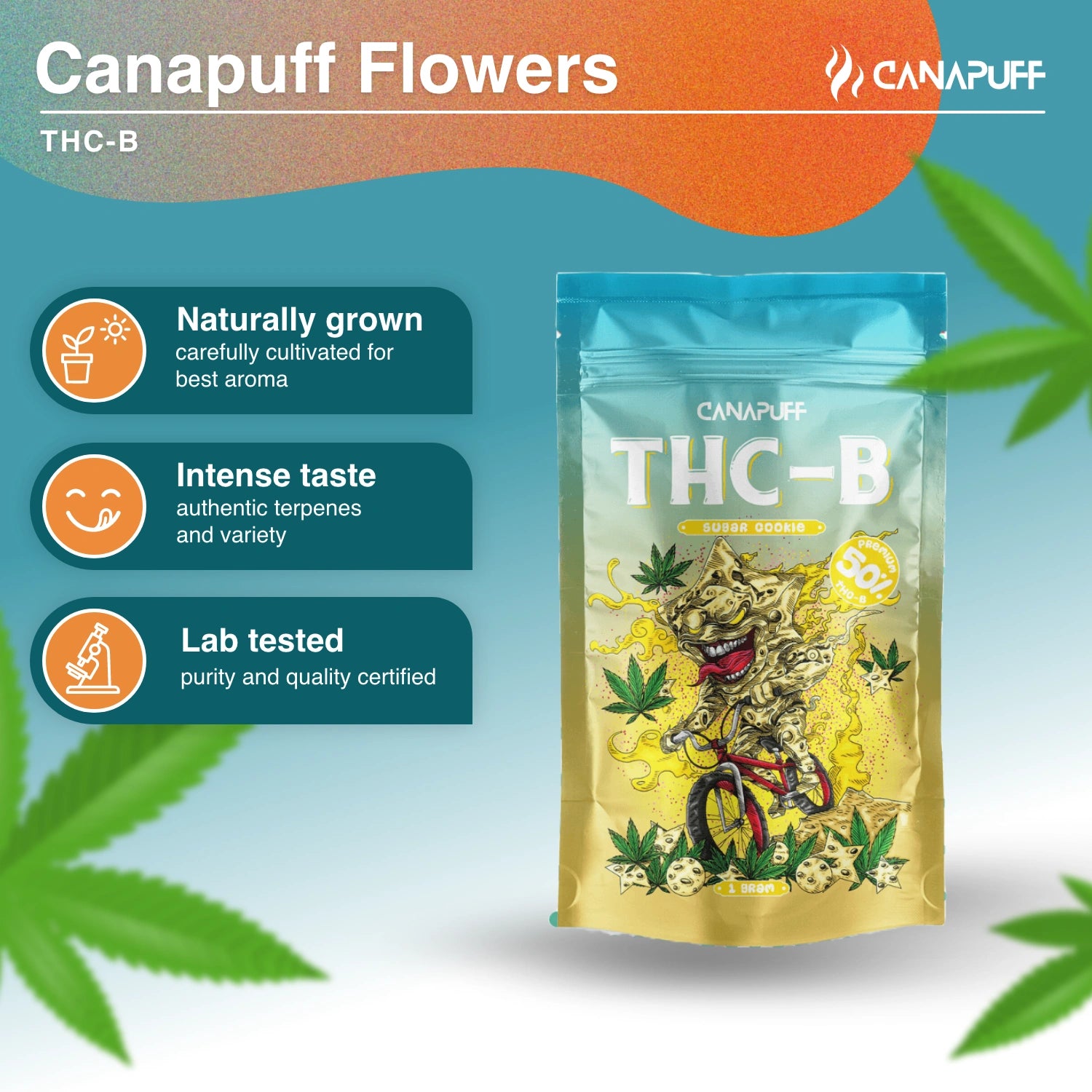 Sugar Cookie 50% - THC-B Flowers - Canapuff