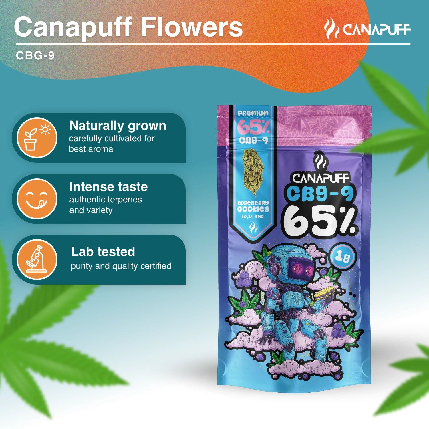 Blueberry Cookie 65% - CBG9 Flowers - Canapuff