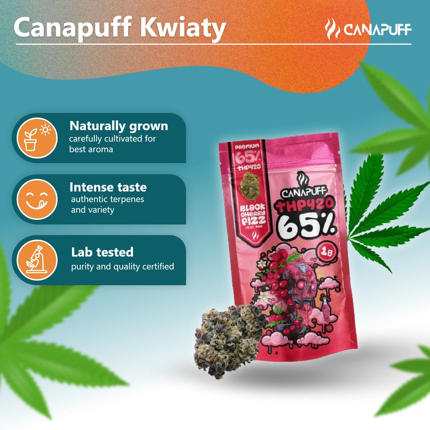 Чорна вишня Фізз 65% - THP420 Квіти