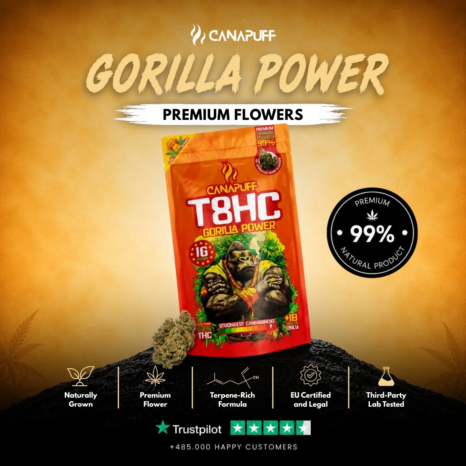 Gorilla Power T8HC Cvjetovi 99%
