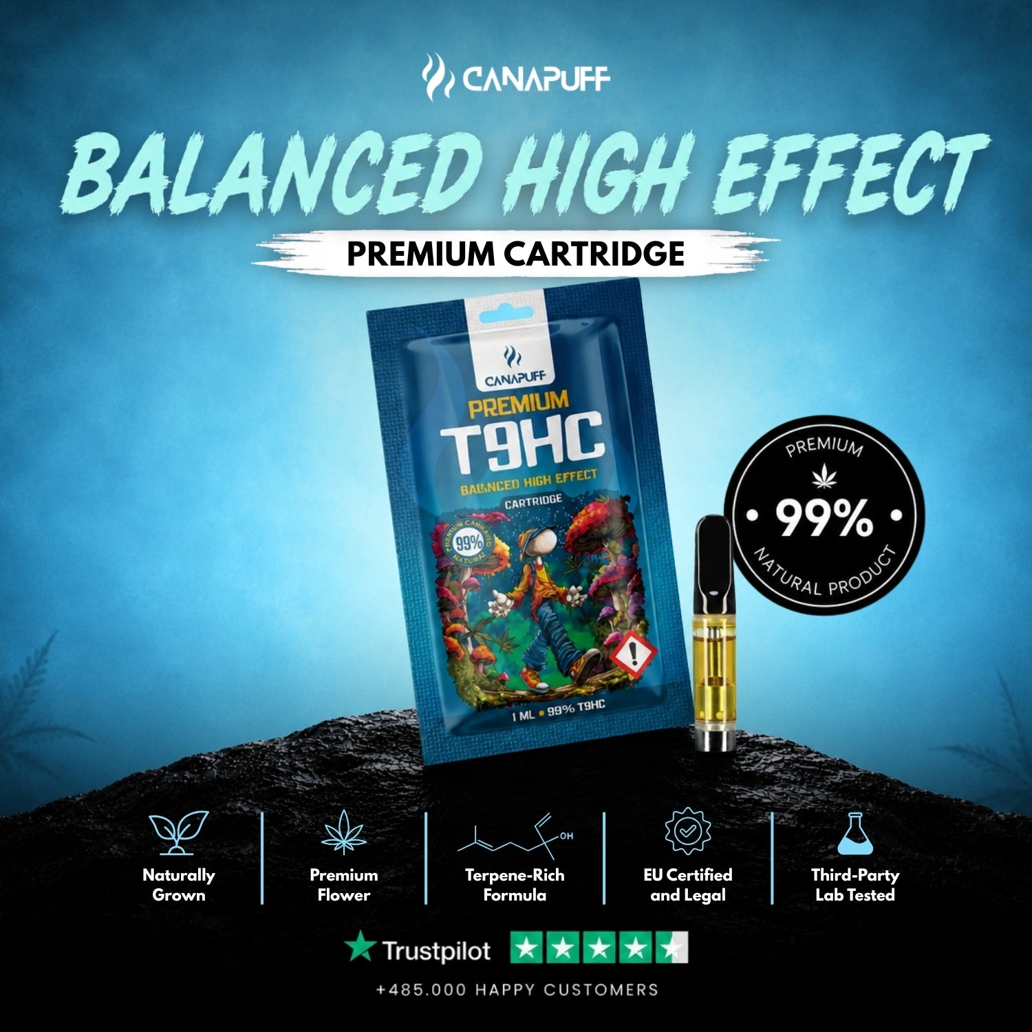 T9HC Cartridge Balanced 99%