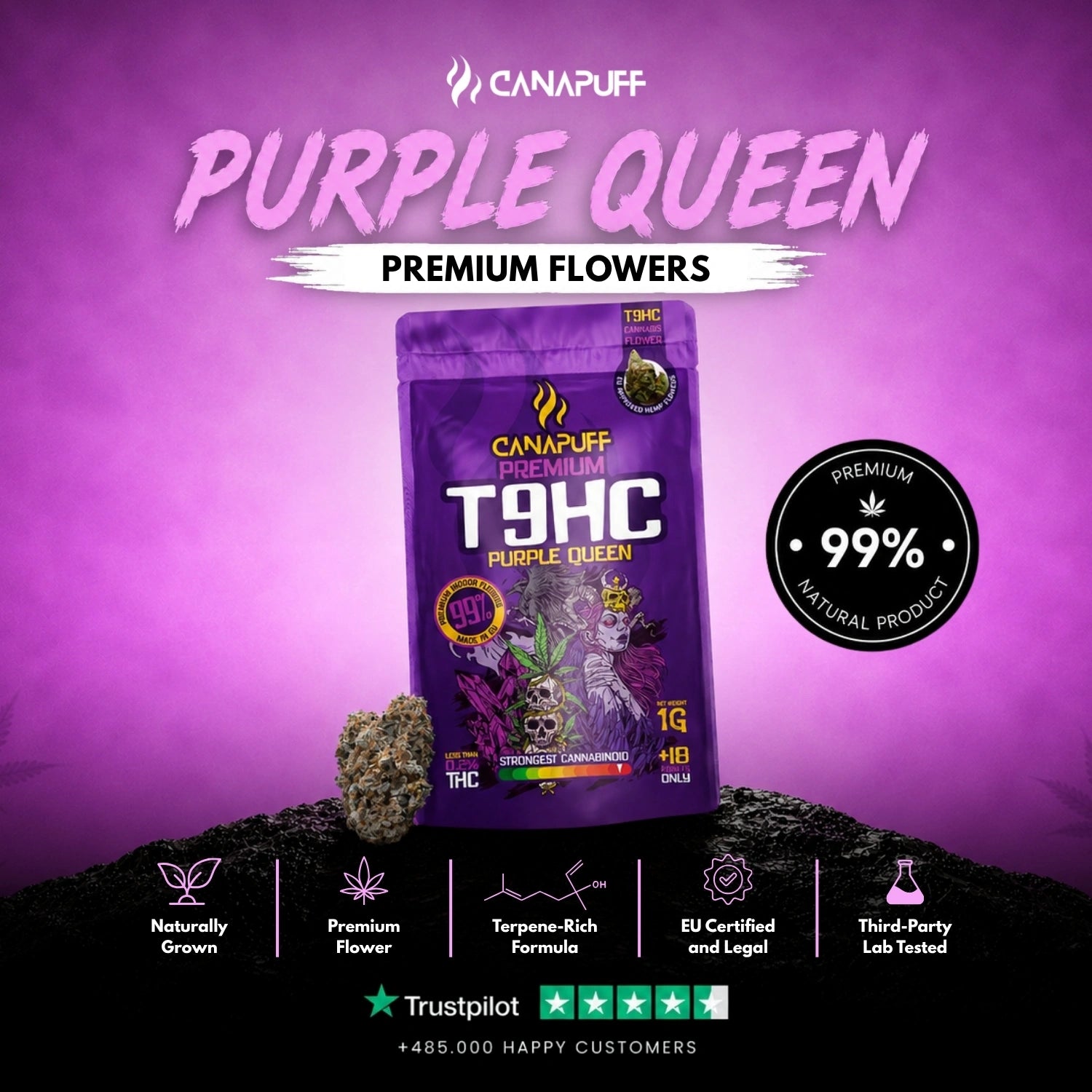 T9HC Květy Purple Queen 99%