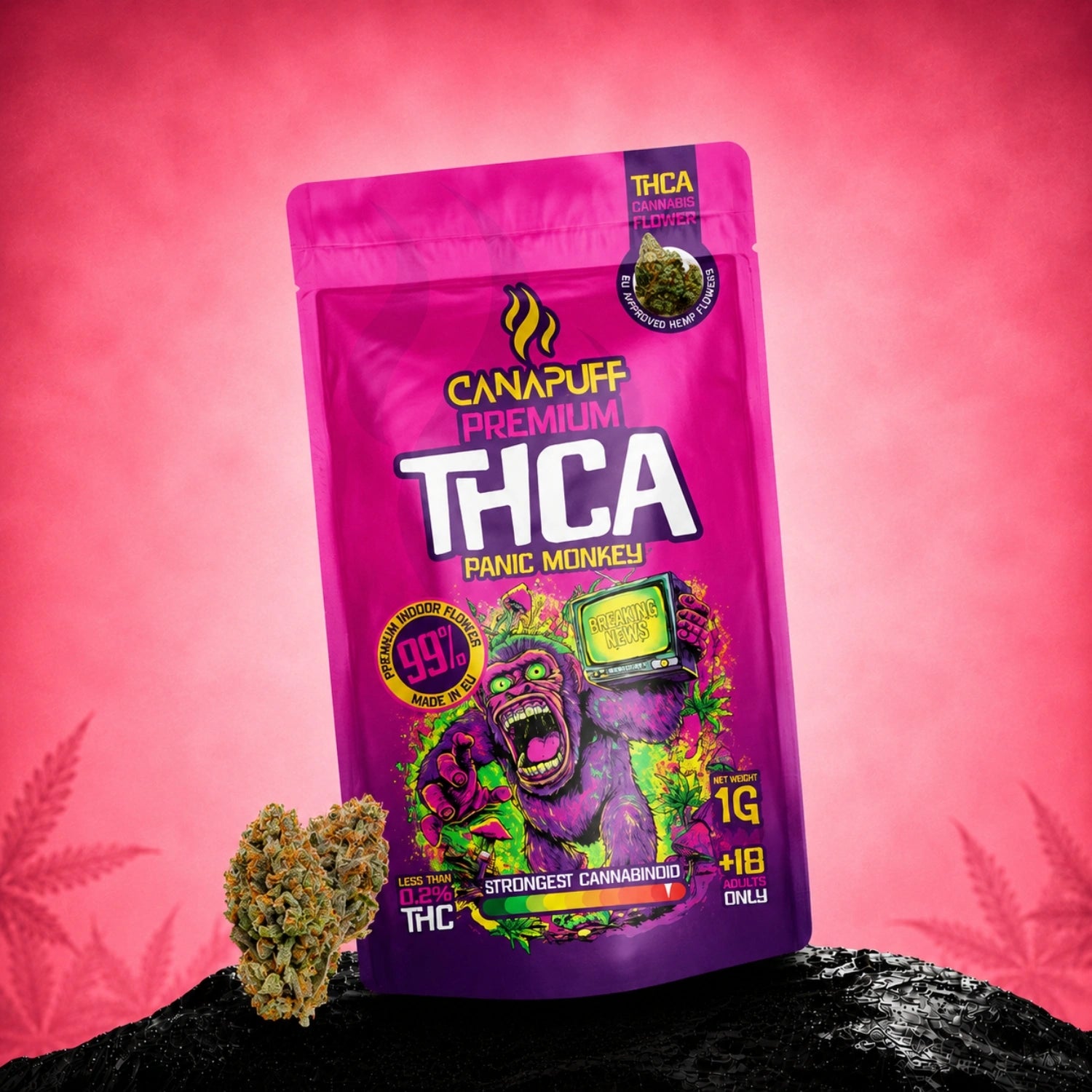 THCA Cvjetovi Panic Monkey 99%