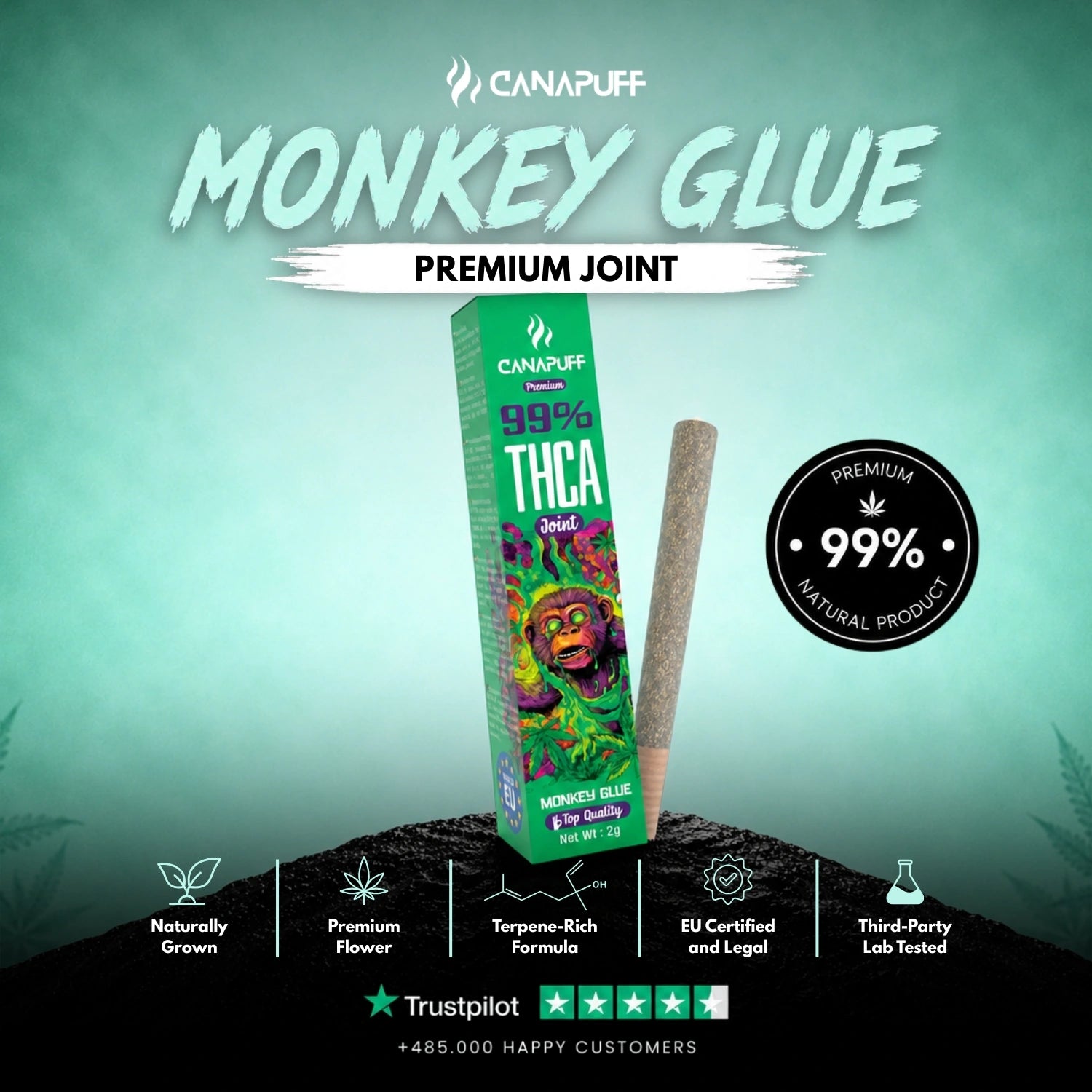 THCA Joint Monkey Glue 99% 2g