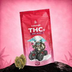 THCv Cvjetovi Berry Gelato 50%