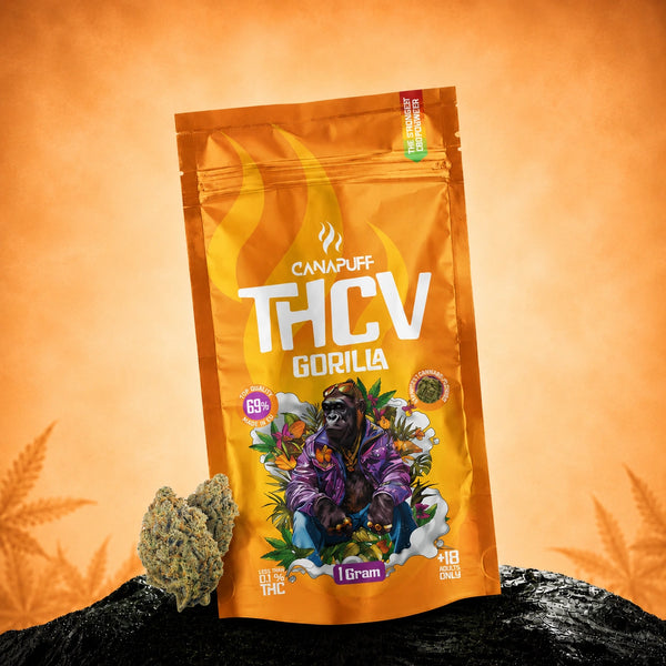 Flores Canapuff THCv Gorilla 69%, saqueta de 1 grama com embalagem laranja e ilustração de gorila