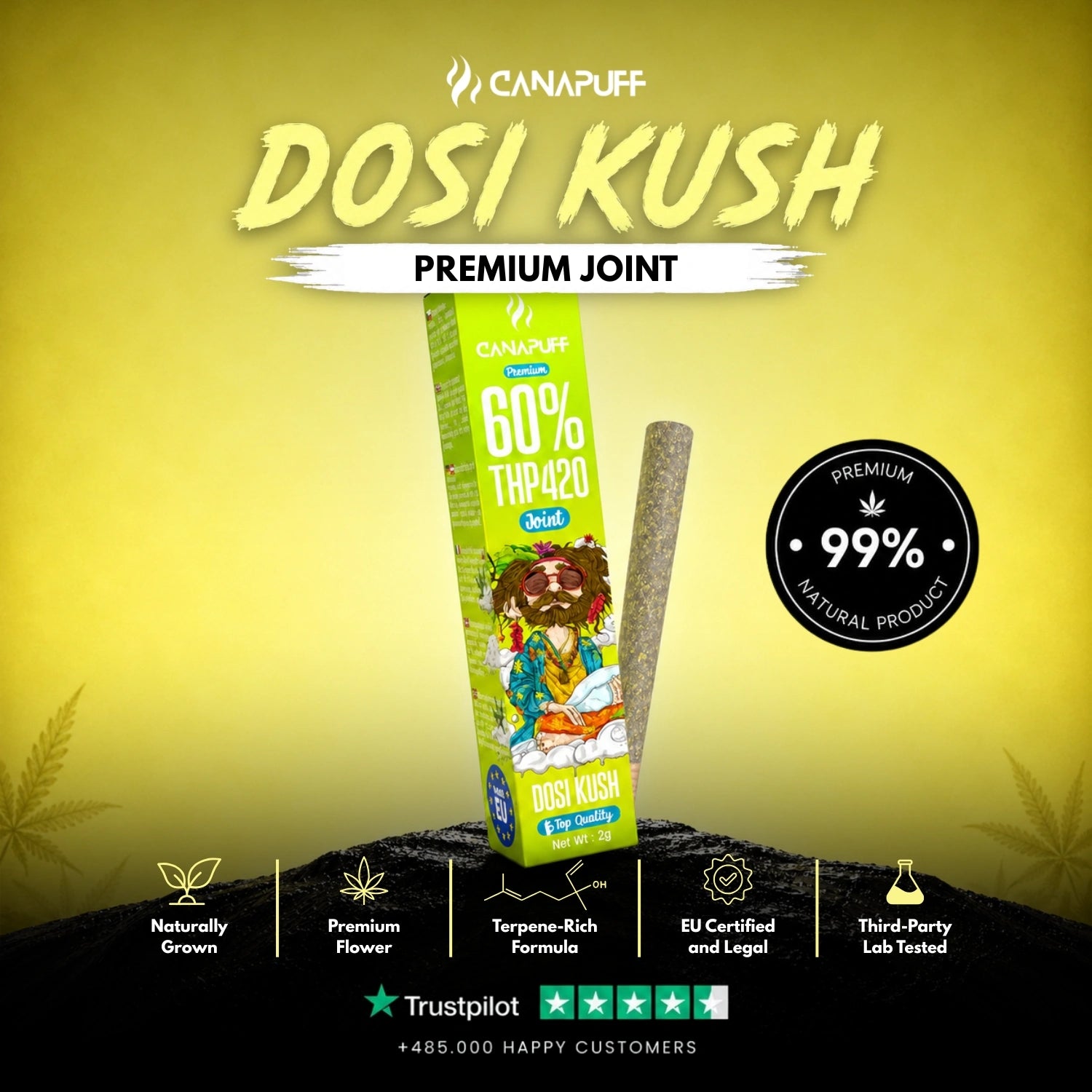 THP420 Joint Dosi Kush 60% 2g