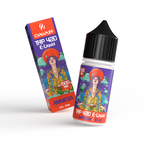 amnesia-current_view_grande.