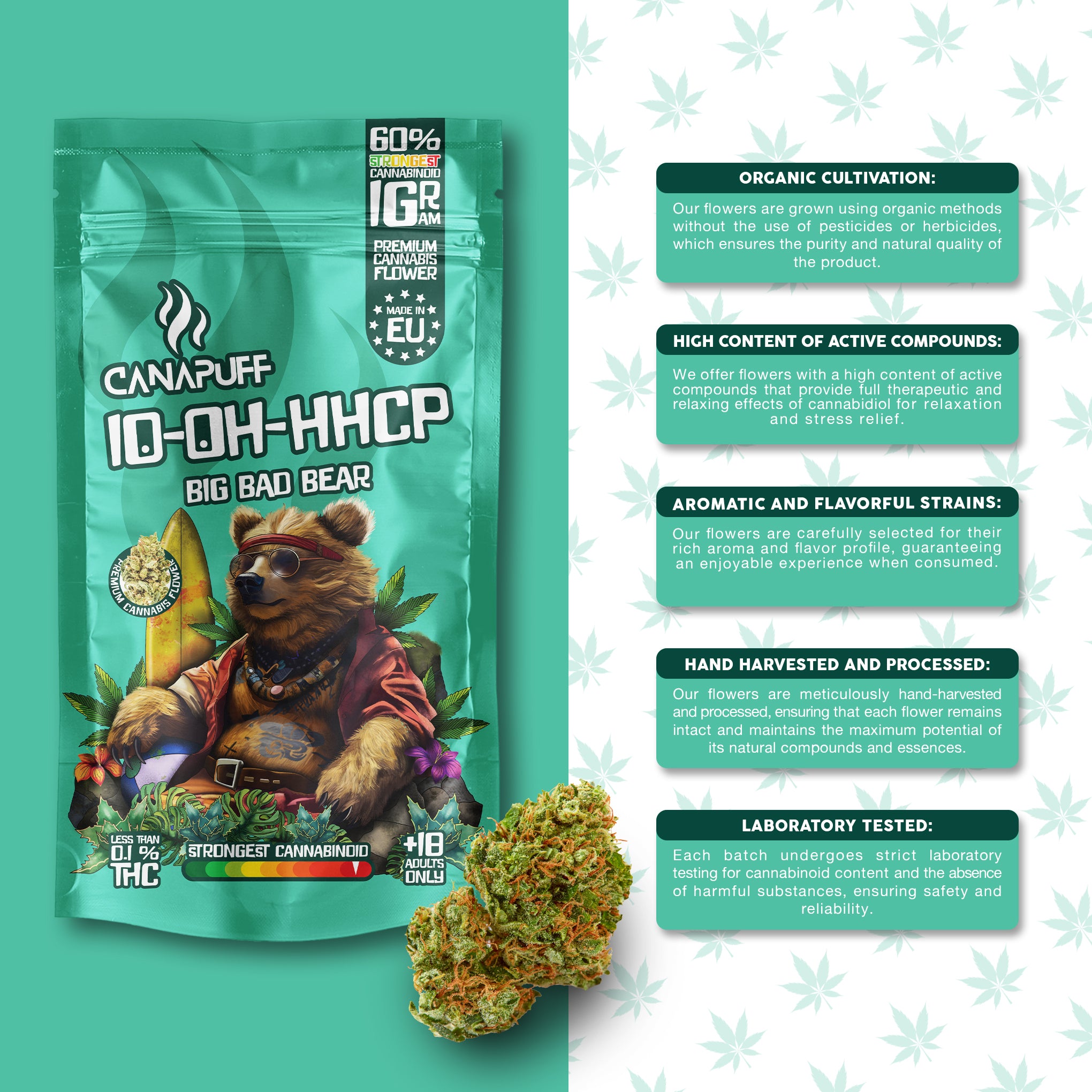 Canapuff - Big Bad Bear 60% - 10-OH-HHCP Fleurs