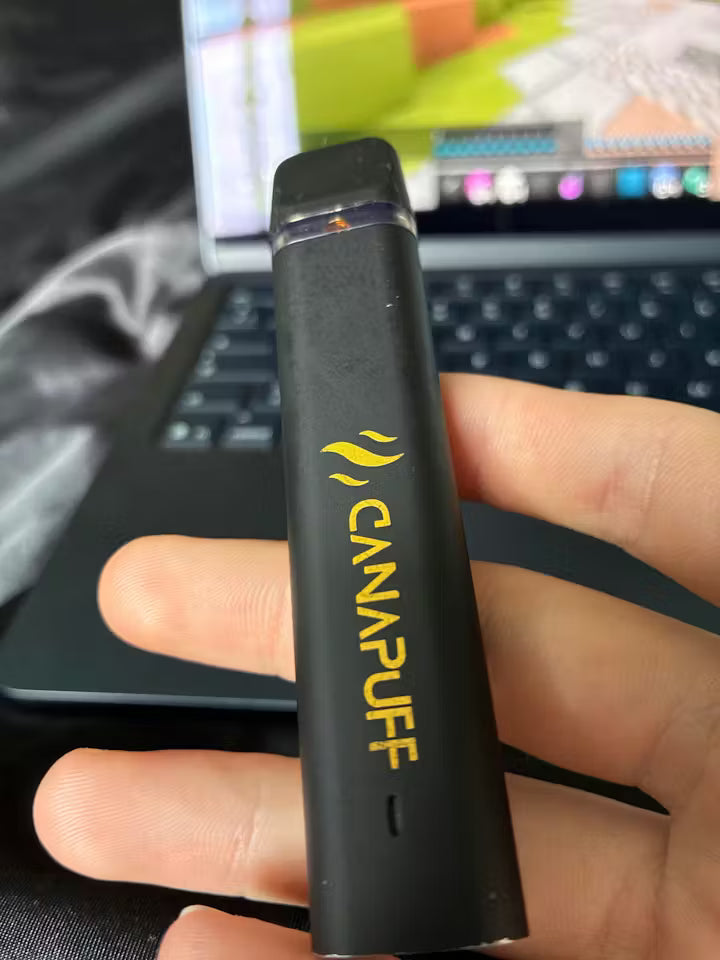 5mg disposable vape uk The Best Alternative To Disposable Vapes 5mg disposable vape uk The Best Alternative To Disposable Vapes