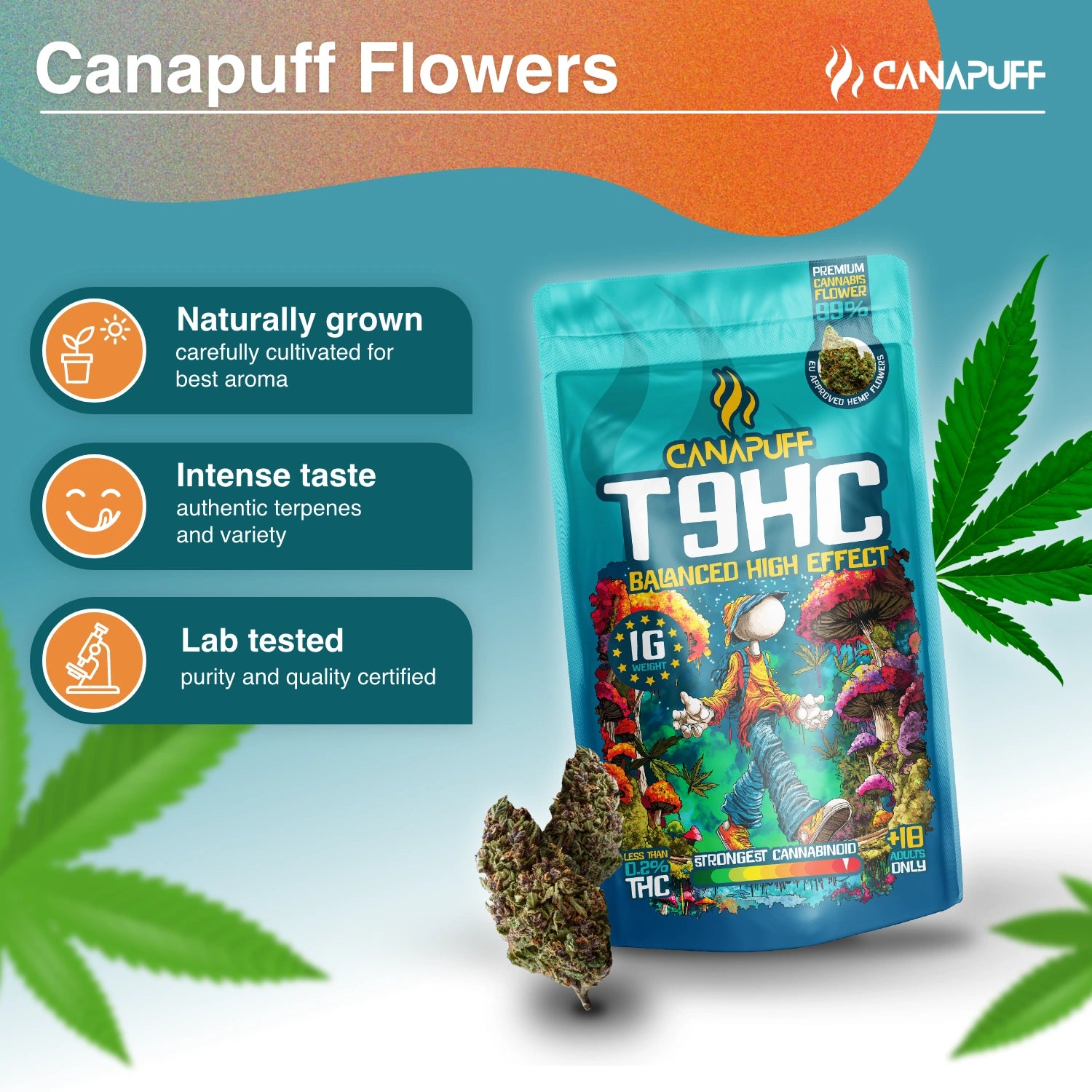Canapuff - Balanced 99% - T9HC Flowers