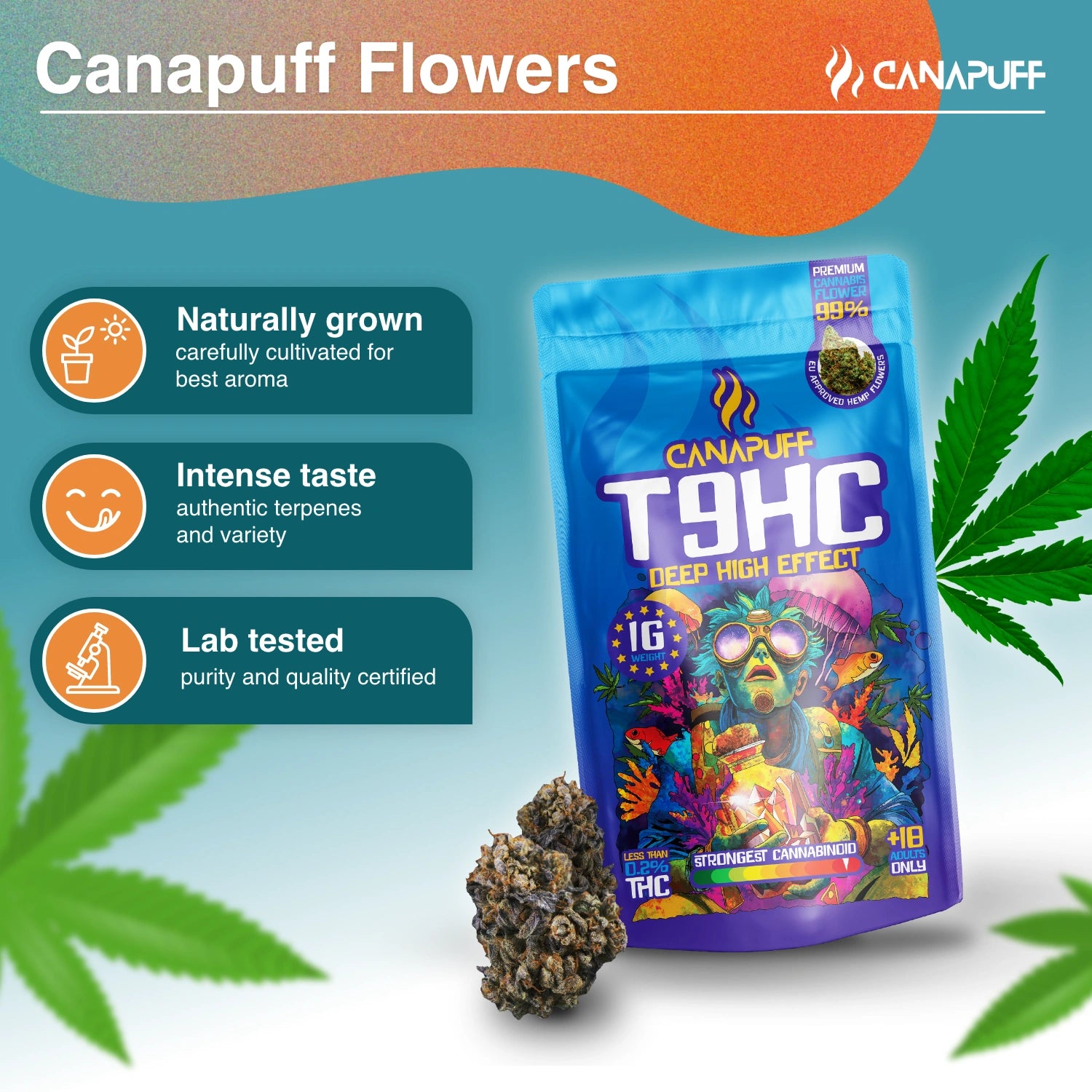Canapuff - Deep 99% - Fiori T9HC
