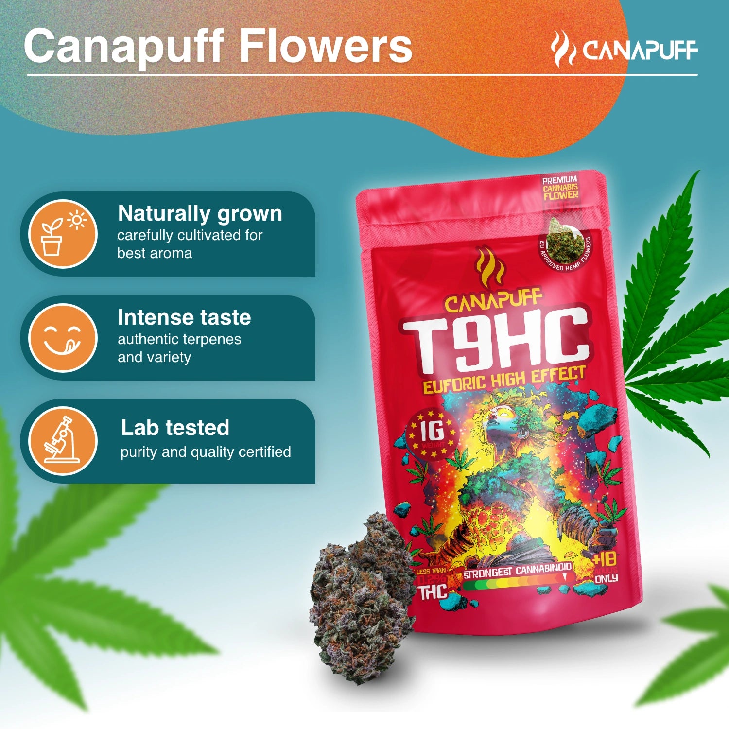 Canapuff - Euforic 99% - T9HC Virágzat
