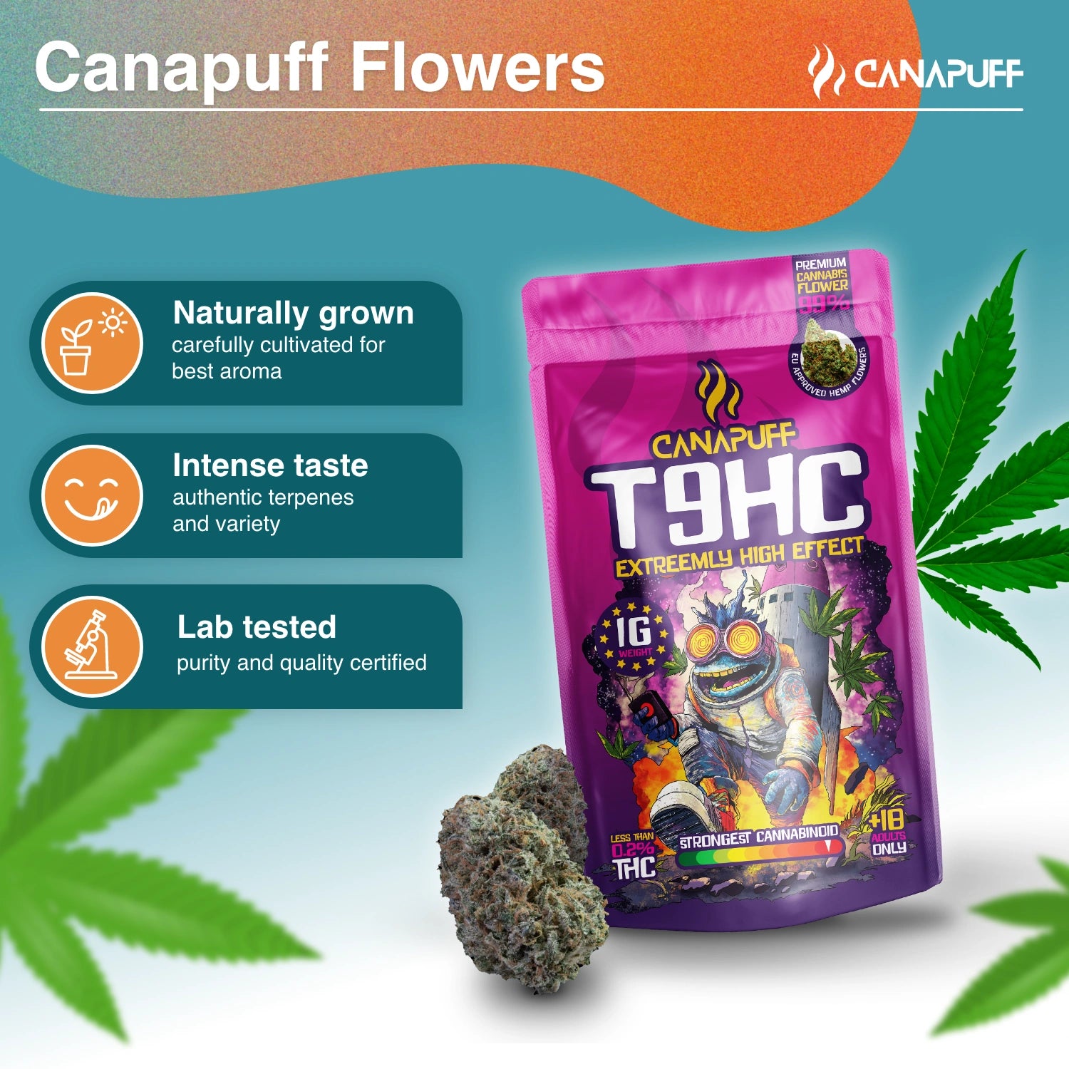 Canapuff - Itin 99% - T9HC žiedai