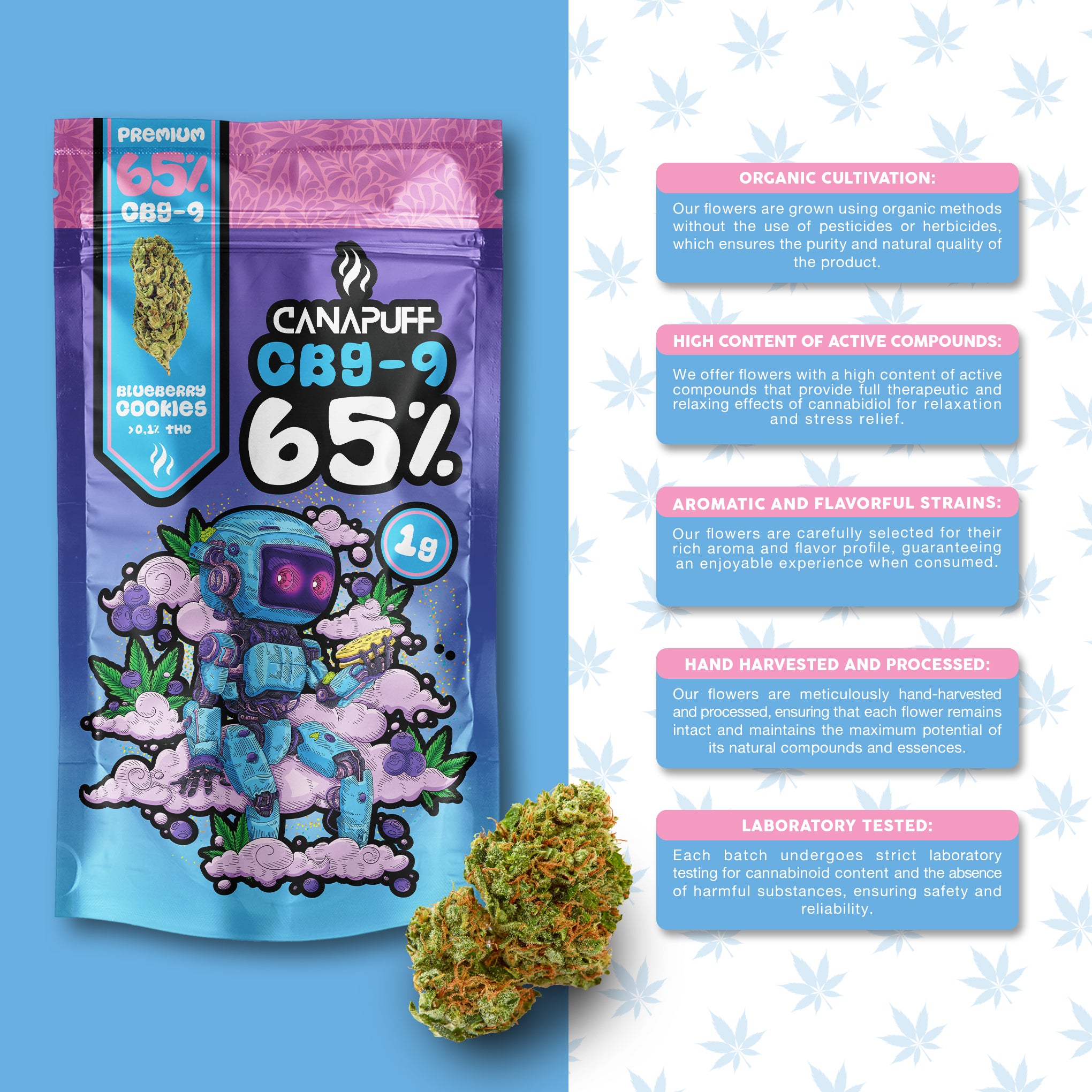 Canapuff - Blåbærkage 65% - CBG9 Blomster