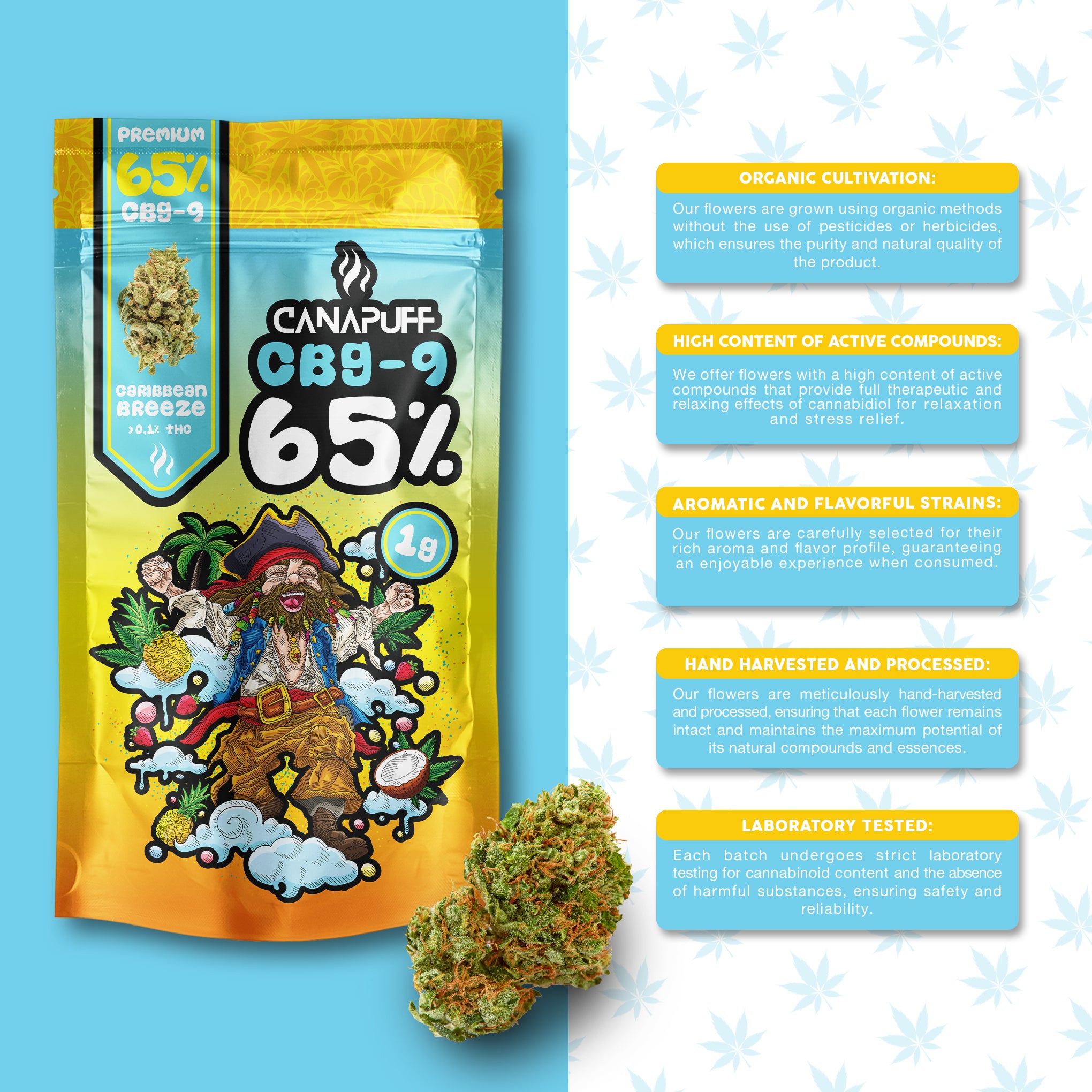 Canapuff - Caribbean Breeze 65% - CBG9 Blomster