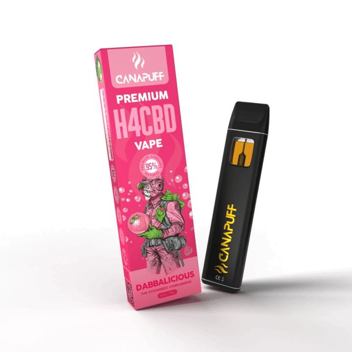 Disposable Vape Brands Cbd Disposable Vape | BUY THC CARTS ONLINE Disposable Vape Wholesale Australia Disposable Vape Brands Cbd Disposable Vape | BUY THC CARTS ONLINE Disposable Vape Wholesale Australia