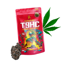 T9HC Květy Euforic 99 %