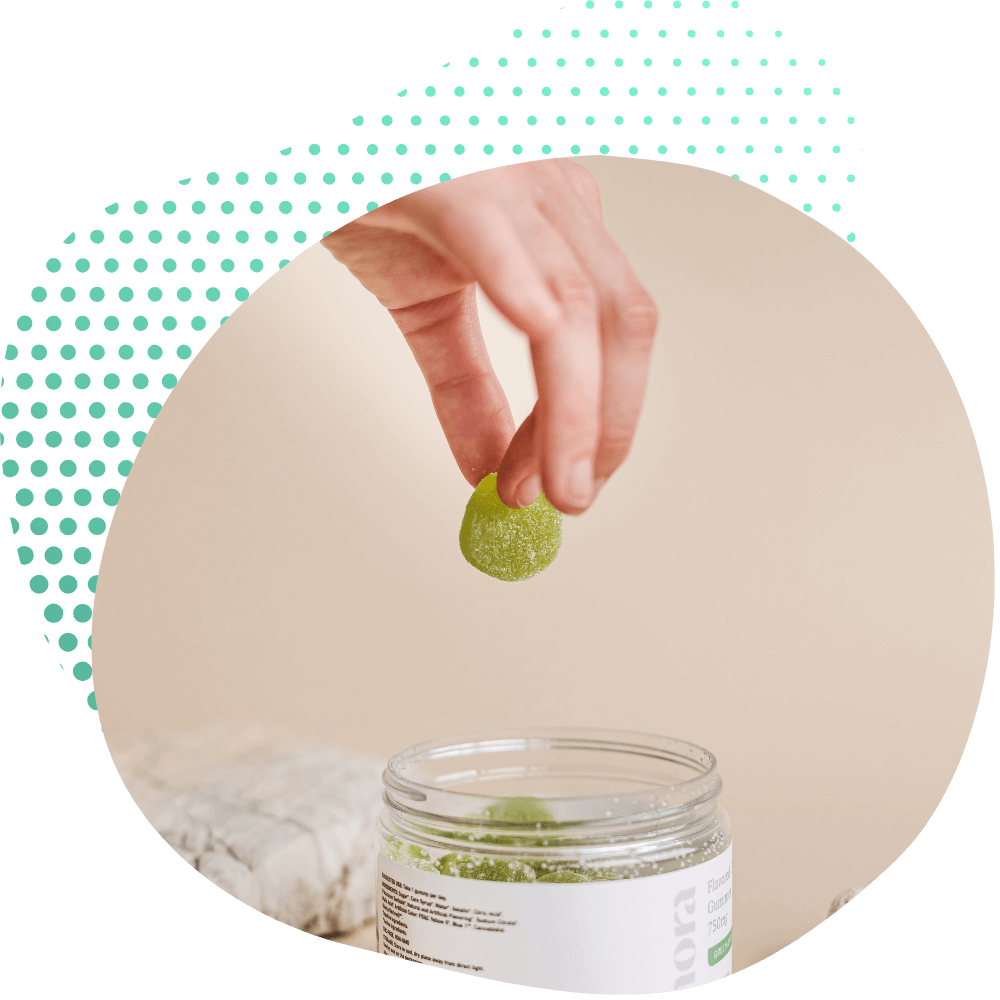 thc cbd gummies 10 oh hhcp premium buds canapuff