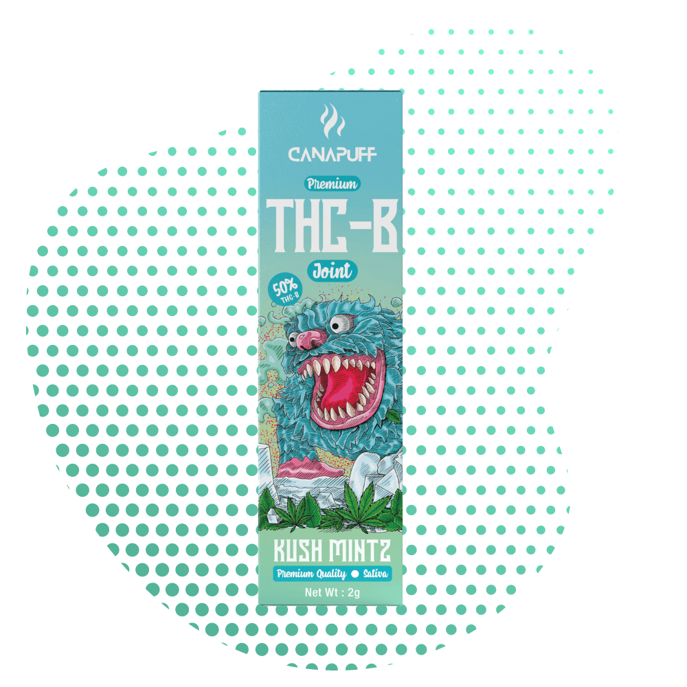 THC B Joint 50% Kush Mintz 2g