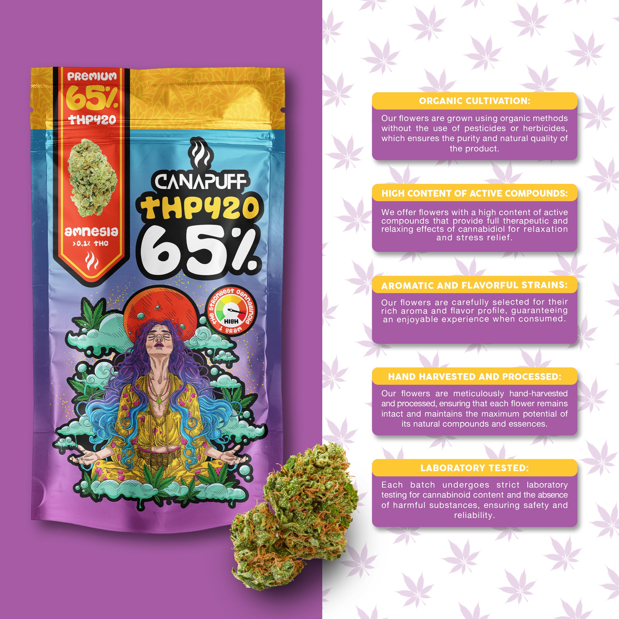 Canapuff - Amnesia 65% - Fiori THP420