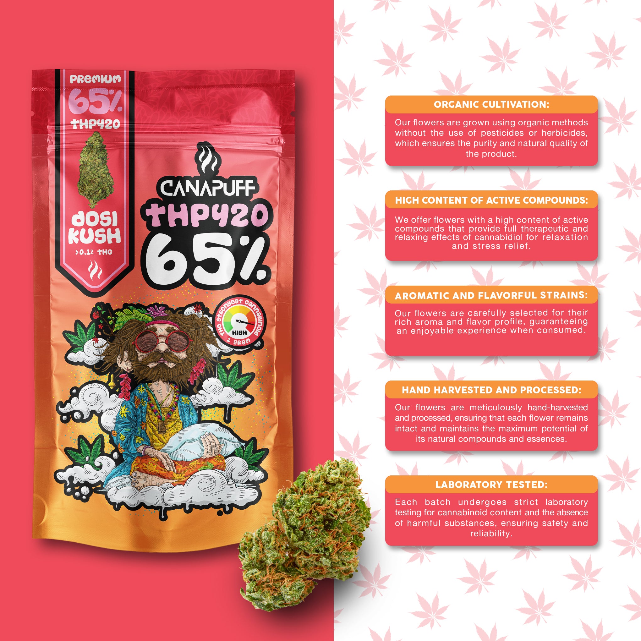 Canapuff - Dosi Kush 65% - THP420 Virágok